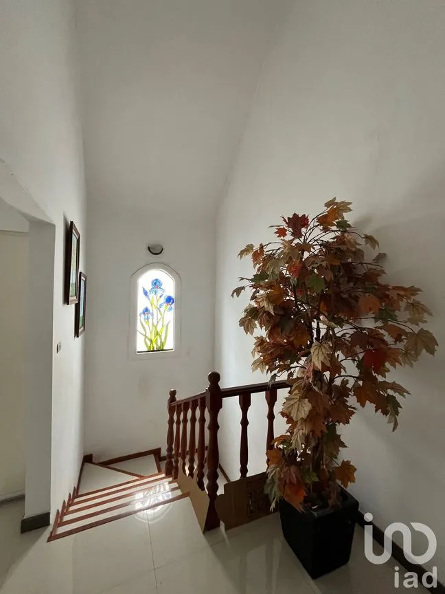 Casa en Venta en Los Ríos, Centro, Tabasco | NEX-253021 | iad México | Foto 7 de 9
