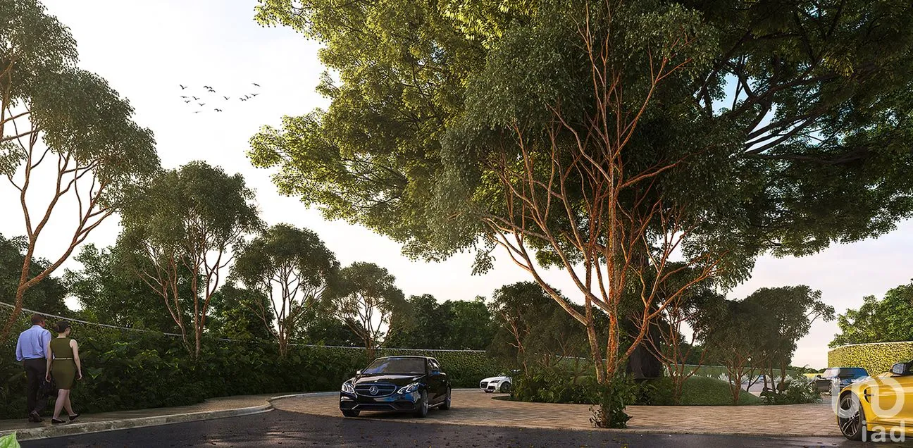 Terreno en Venta en Conkal, Conkal, Yucatán | NEX-253924 | iad México | Foto 4 de 14