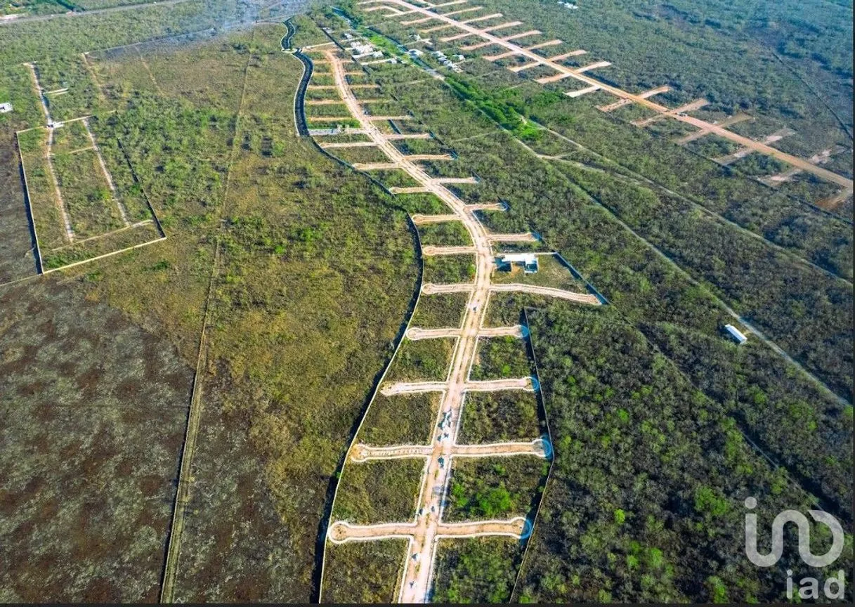 Terreno en Venta en Conkal, Conkal, Yucatán | NEX-255381 | iad México | Foto 11 de 16