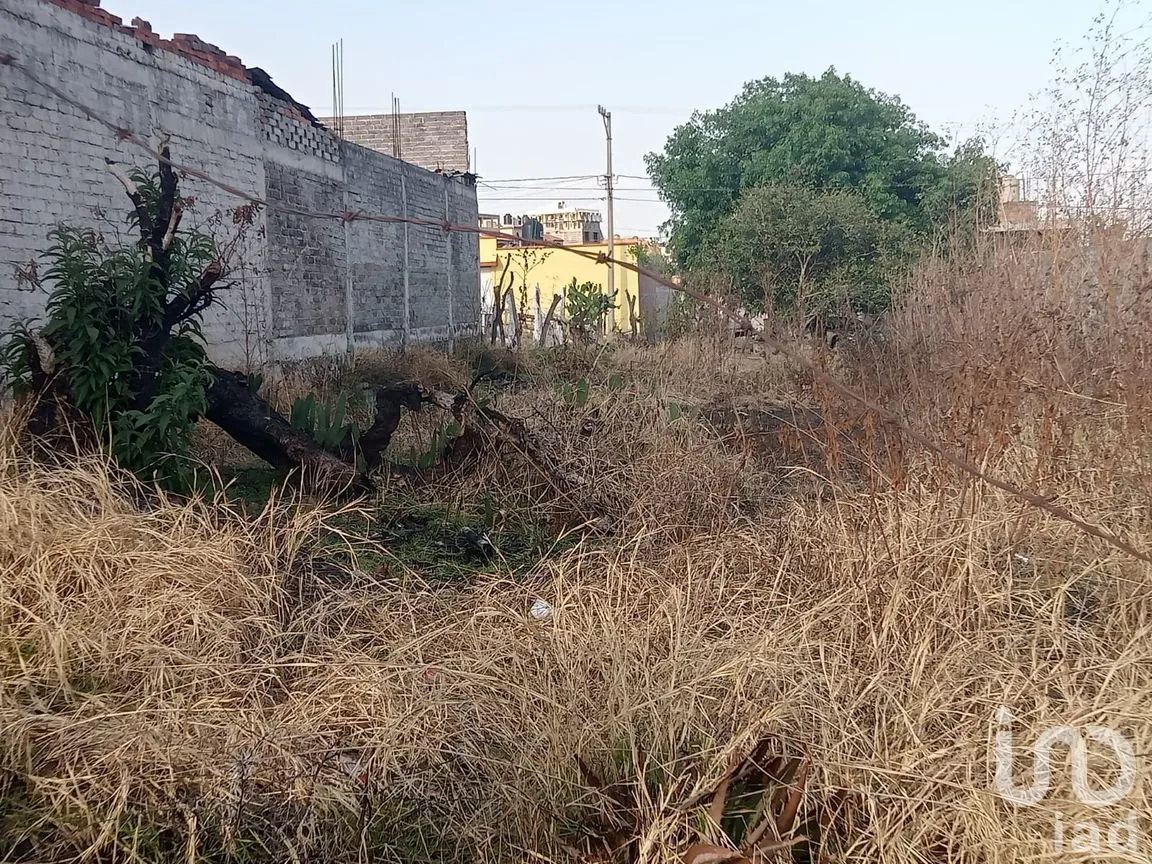 Terreno en Venta en Manuel García Pueblita, Morelia, Michoacán de Ocampo | NEX-264106 | iad México | Foto 8 de 13