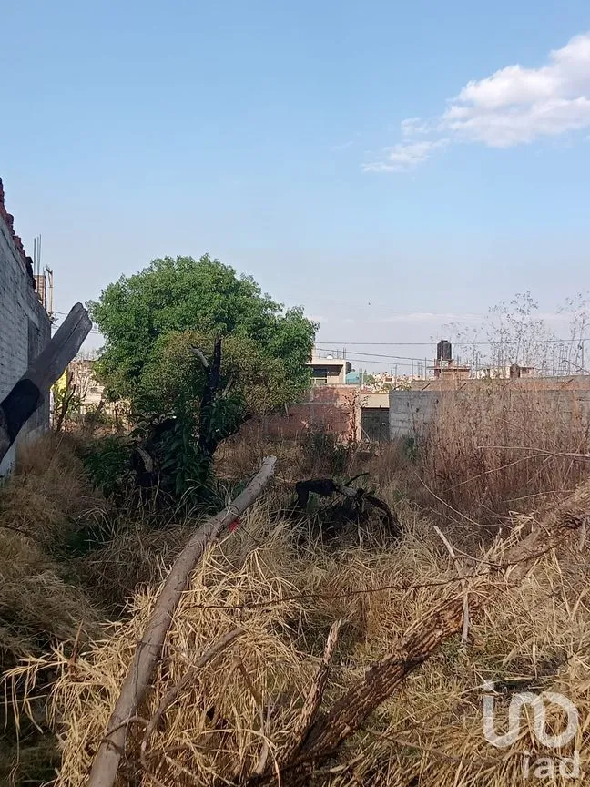 Terreno en Venta en Manuel García Pueblita, Morelia, Michoacán de Ocampo | NEX-264106 | iad México | Foto 10 de 13