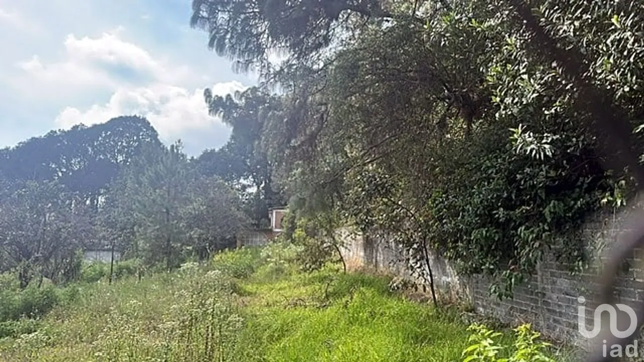 Terreno en Venta en El Calmil, Tlalnepantla, Morelos | NEX-259821 | iad México | Foto 3 de 8