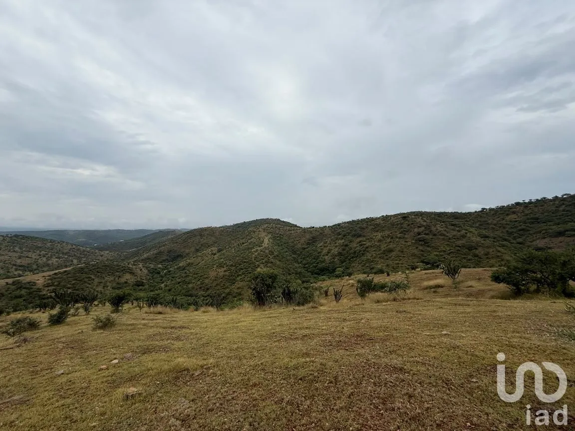 Terreno en Venta en Amatitlán de Azueta, Acatlán, Puebla | NEX-307189 | iad México | Foto 2 de 6