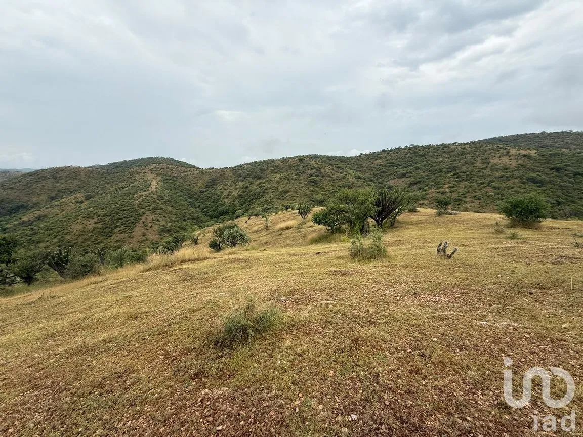 Terreno en Venta en Amatitlán de Azueta, Acatlán, Puebla | NEX-307189 | iad México | Foto 3 de 6