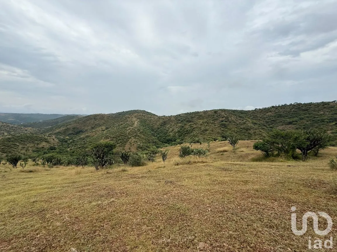 Terreno en Venta en Amatitlán de Azueta, Acatlán, Puebla | NEX-307189 | iad México | Foto 4 de 6