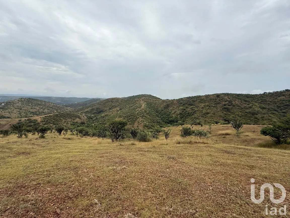Terreno en Venta en Amatitlán de Azueta, Acatlán, Puebla | NEX-307189 | iad México | Foto 5 de 6
