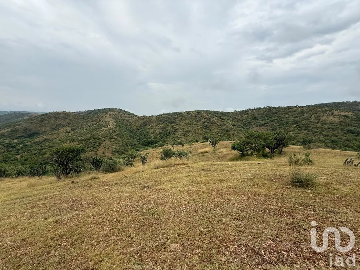 Terreno en Venta en Amatitlán de Azueta, Acatlán, Puebla | NEX-307189 | iad México | Foto 6 de 6