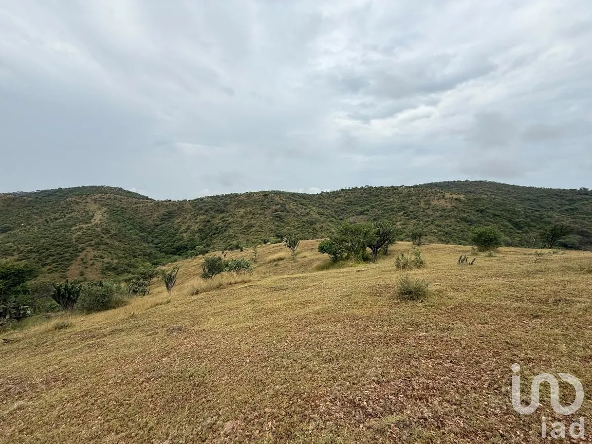 Terreno en Venta en Amatitlán de Azueta, Acatlán, Puebla | NEX-307189 | iad México | Foto 1 de 6