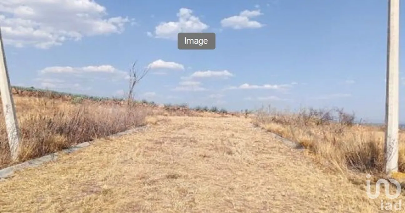 Terreno en Venta en Loma Bonita, Romita, Guanajuato | NEX-292186 | iad México | Foto 2 de 12