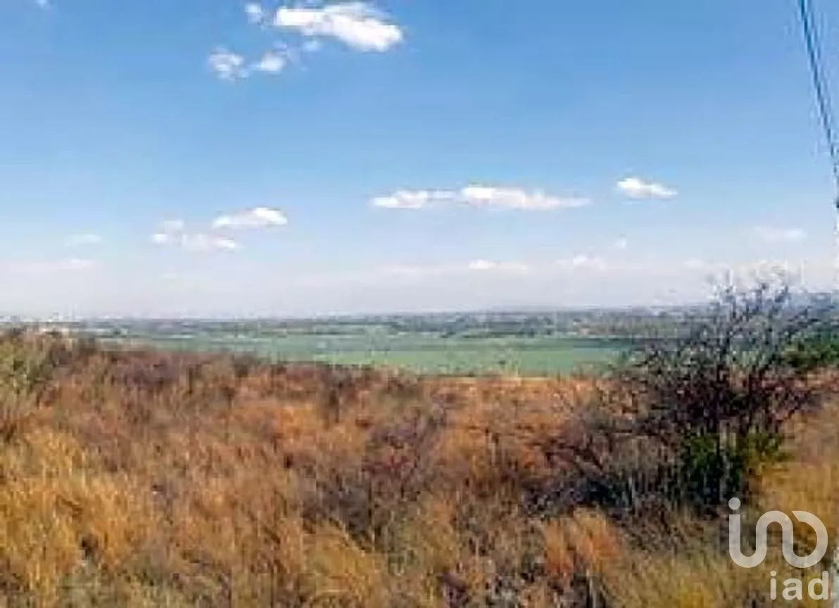 Terreno en Venta en Loma Bonita, Romita, Guanajuato | NEX-292186 | iad México | Foto 6 de 12