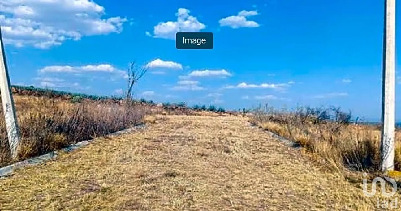 Terreno en Venta en Loma Bonita, Romita, Guanajuato | NEX-292186 | iad México | Foto 7 de 12
