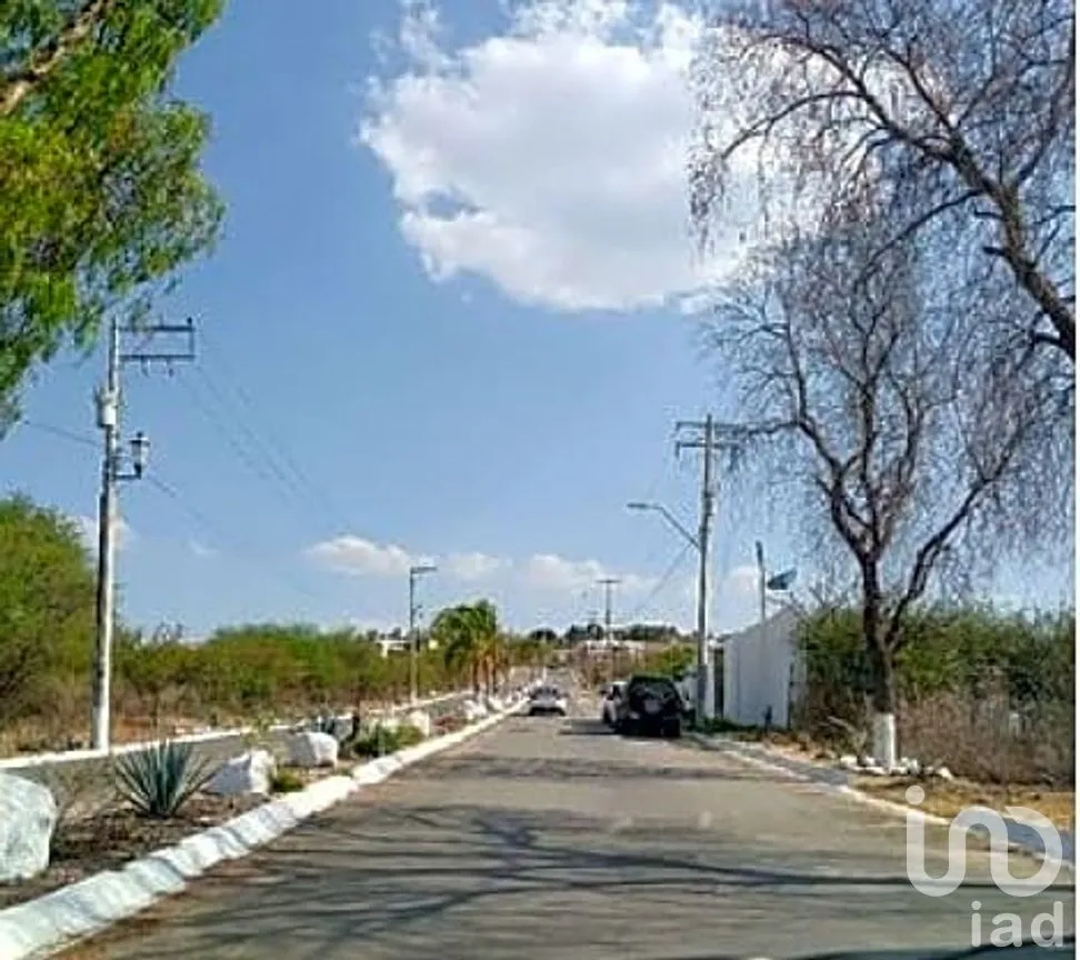 Terreno en Venta en Loma Bonita, Romita, Guanajuato | NEX-292186 | iad México | Foto 8 de 12