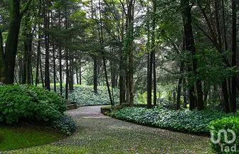 NEX-256647 - Departamento en Venta, con 4 recamaras, con 3 baños, con 239 m2 de construcción.