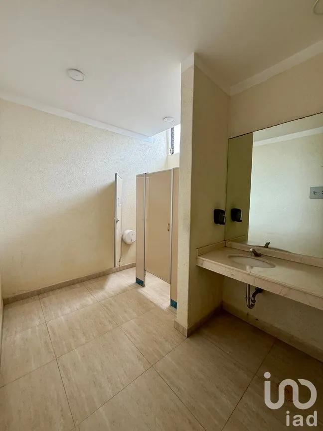 Oficina en Renta en Granada, Miguel Hidalgo, Ciudad de México | NEX-260905 | iad México | Foto 14 de 20