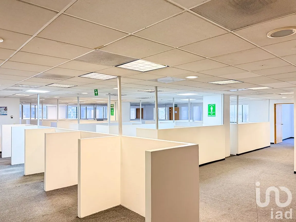 Oficina en Renta en Granada, Miguel Hidalgo, Ciudad de México | NEX-260905 | iad México | Foto 5 de 20