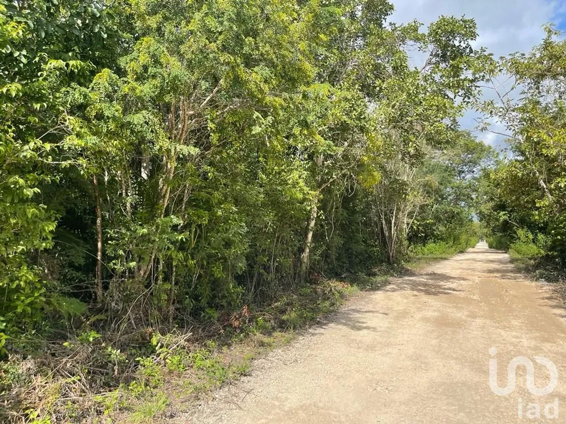 Terreno en Venta en Alfredo V Bonfil, Benito Juárez, Quintana Roo NEX