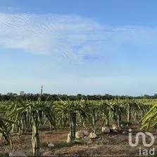 NEX-233943 - Terreno en Venta en Montecristo, CP 97133, Yucatán.