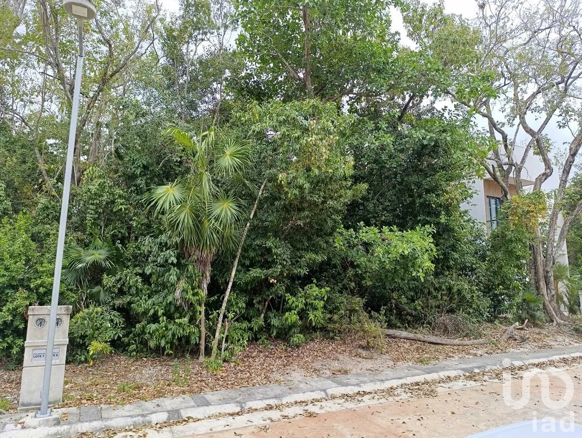 Terreno en Venta en Puerto Morelos, Puerto Morelos, Quintana Roo | NEX-247092 | iad México | Foto 2 de 13