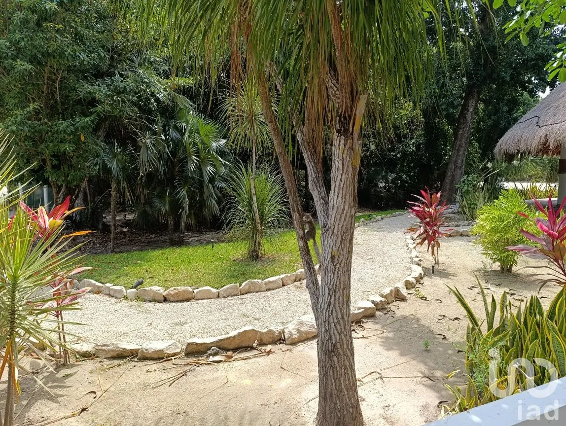 Terreno en Venta en Puerto Morelos, Puerto Morelos, Quintana Roo | NEX-247092 | iad México | Foto 13 de 13