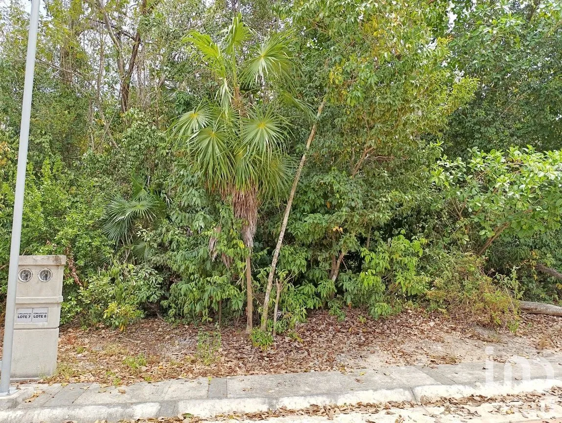 Terreno en Venta en Puerto Morelos, Puerto Morelos, Quintana Roo | NEX-285677 | iad México | Foto 2 de 14