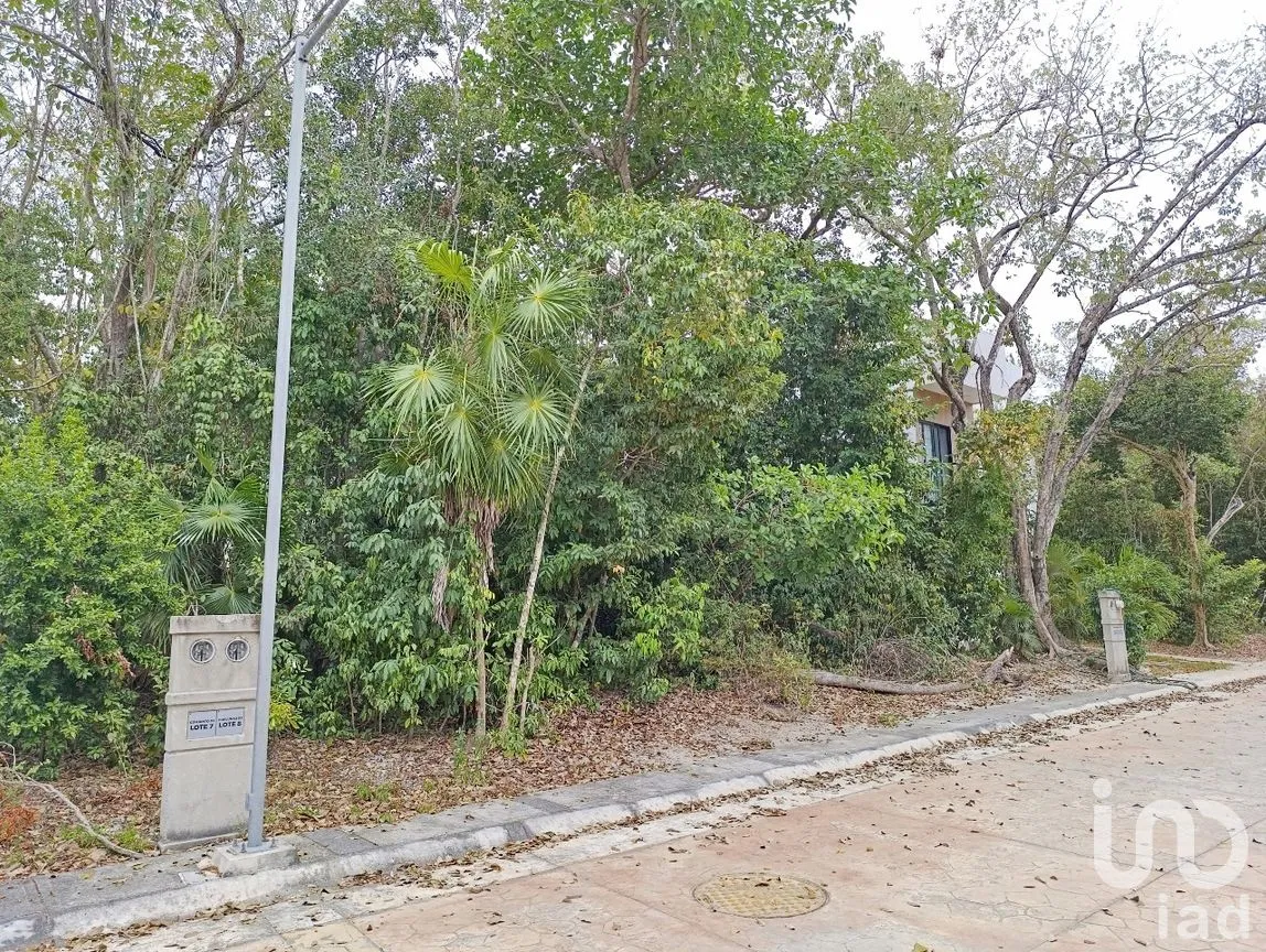Terreno en Venta en Puerto Morelos, Puerto Morelos, Quintana Roo | NEX-285677 | iad México | Foto 4 de 14