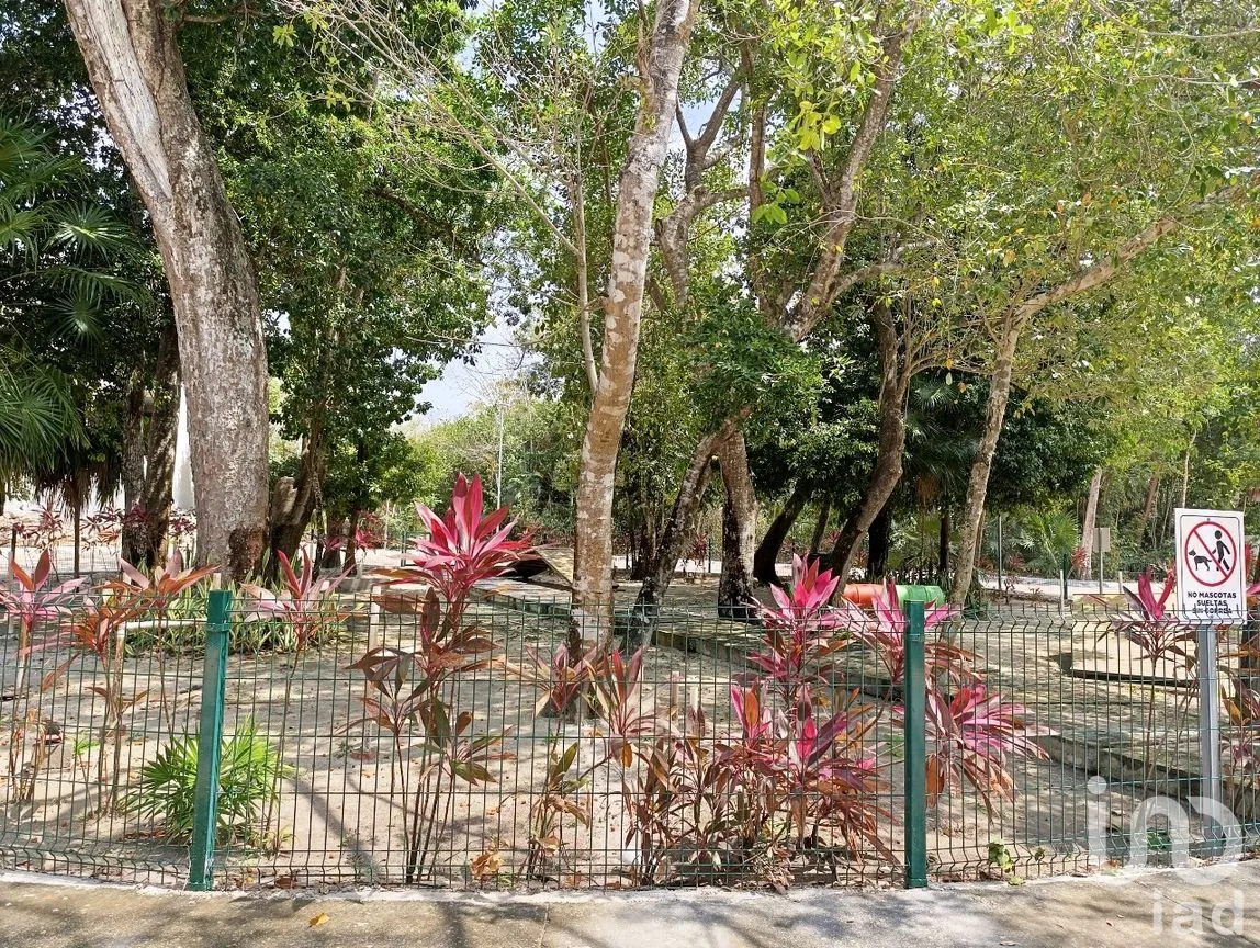 Terreno en Venta en Puerto Morelos, Puerto Morelos, Quintana Roo | NEX-285677 | iad México | Foto 7 de 14