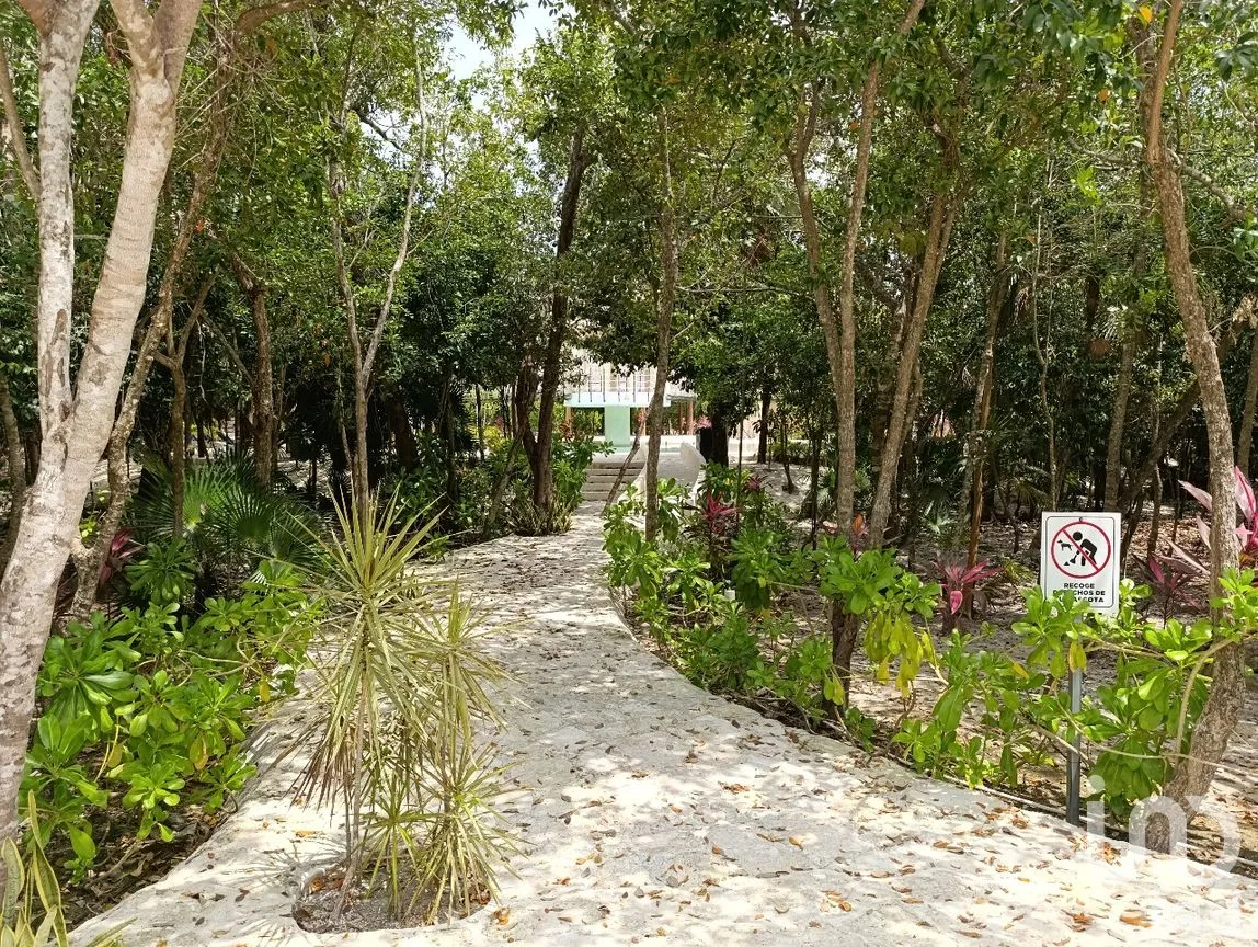 Terreno en Venta en Puerto Morelos, Puerto Morelos, Quintana Roo | NEX-285677 | iad México | Foto 1 de 14