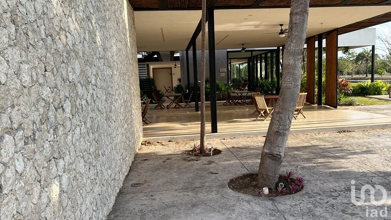 Terreno en Venta en Campestre Flamboyanes, Progreso, Yucatán | NEX-285732 | iad México | Foto 8 de 10