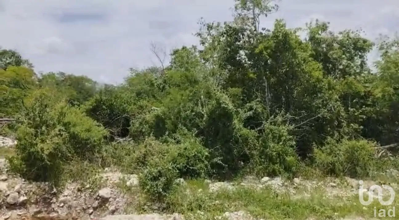 Terreno en Venta en Campestre Flamboyanes, Progreso, Yucatán | NEX-285742 | iad México | Foto 2 de 8