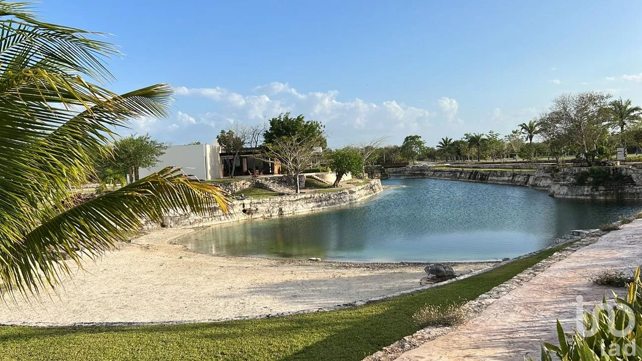 Terreno en Venta en Campestre Flamboyanes, Progreso, Yucatán | NEX-285742 | iad México | Foto 7 de 8