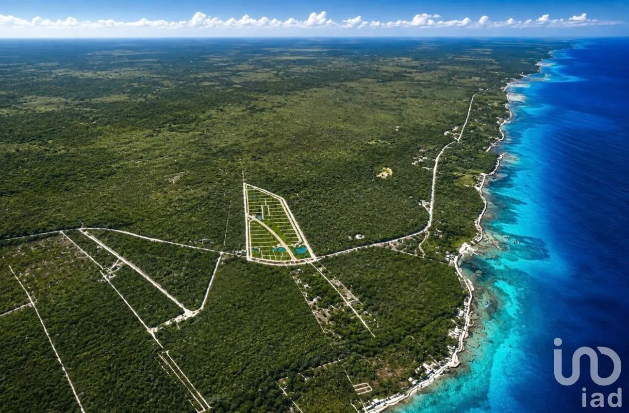 Terreno en Venta en Mahahual, Othón P. Blanco, Quintana Roo | NEX-304864 | iad México | Foto 6 de 6
