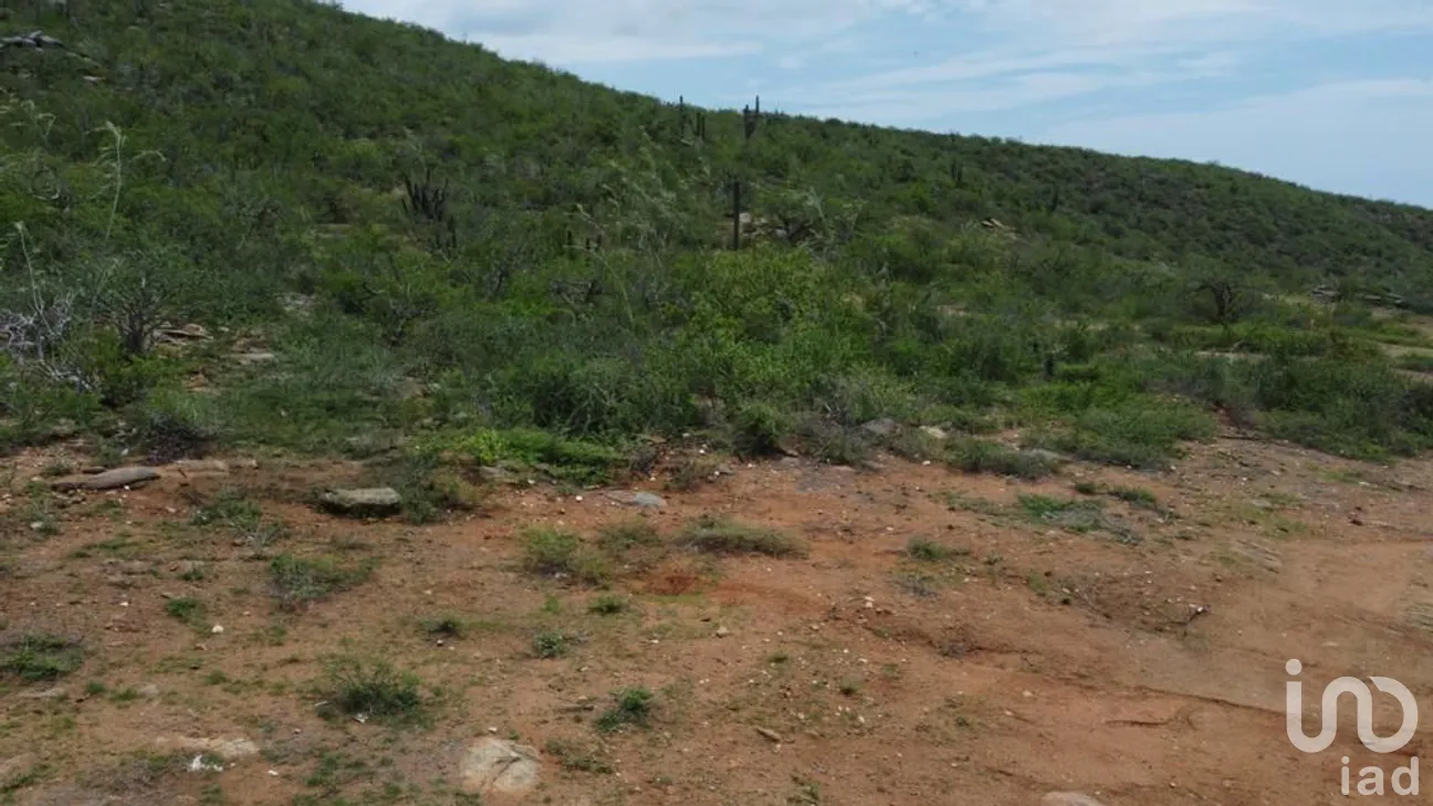 Terreno en Venta en San Juan, La Paz, Baja California Sur | NEX-259061 | iad México | Foto 4 de 11