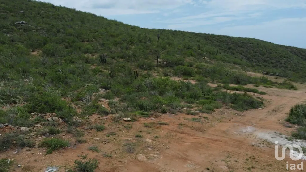 Terreno en Venta en San Juan, La Paz, Baja California Sur | NEX-259061 | iad México | Foto 7 de 11