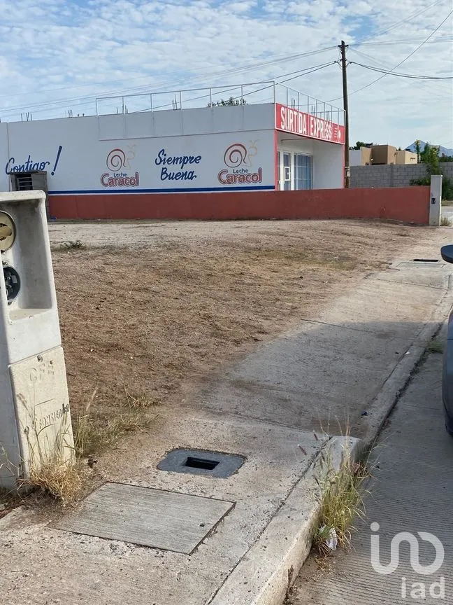 Terreno en Venta en Calafia, La Paz, Baja California Sur | NEX-261987 | iad México | Foto 5 de 6