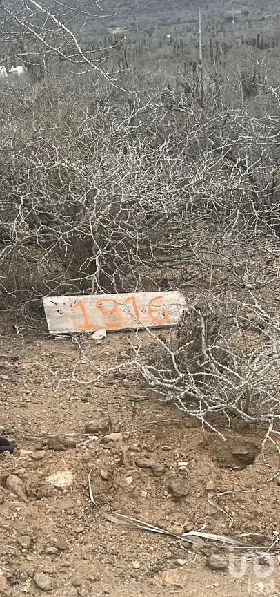 Terreno en Venta en El Pescadero, La Paz, Baja California Sur | NEX-261988 | iad México | Foto 3 de 8