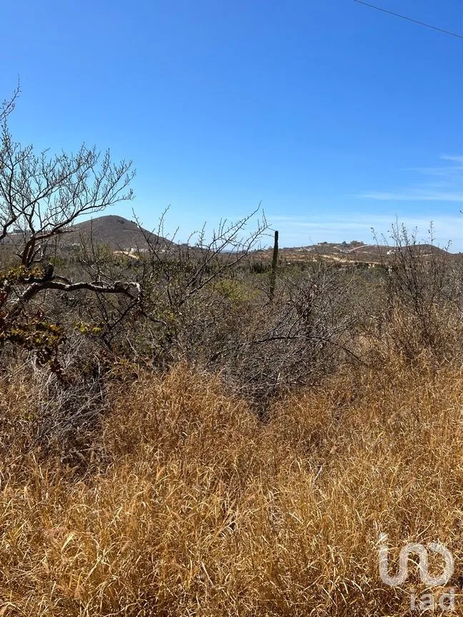 Terreno en Venta en El Pescadero, La Paz, Baja California Sur | NEX-261988 | iad México | Foto 7 de 8