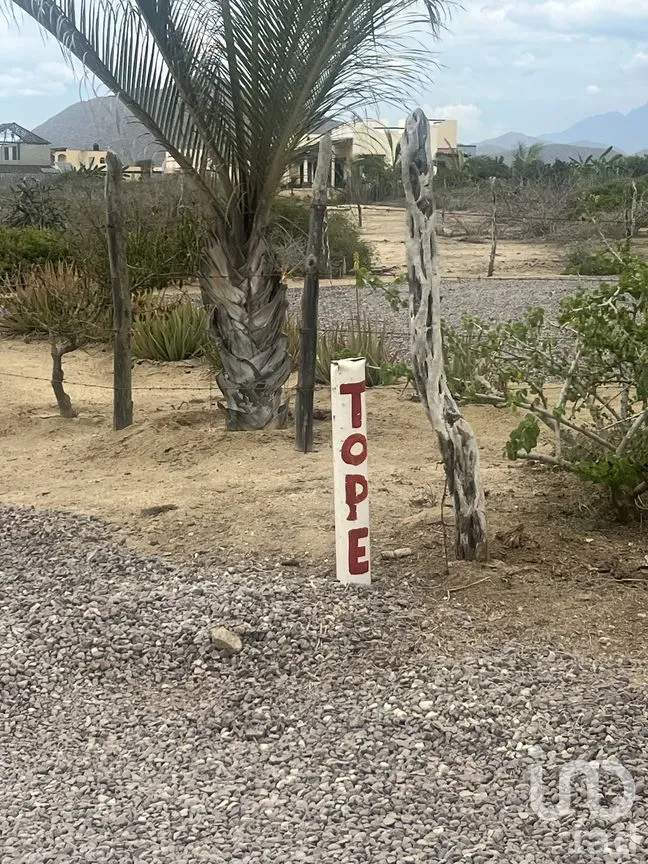 Terreno en Venta en El Pescadero, La Paz, Baja California Sur | NEX-261989 | iad México | Foto 5 de 12