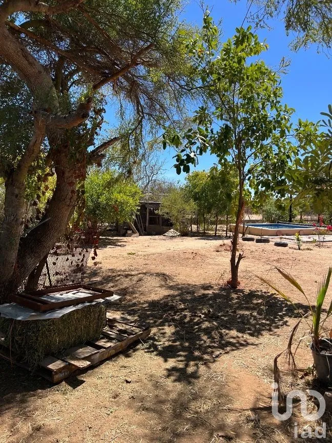 Casa en Venta en San Pedro, La Paz, Baja California Sur | NEX-261991 | iad México | Foto 12 de 15