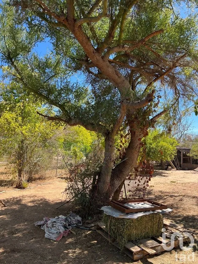Casa en Venta en San Pedro, La Paz, Baja California Sur | NEX-261991 | iad México | Foto 13 de 15