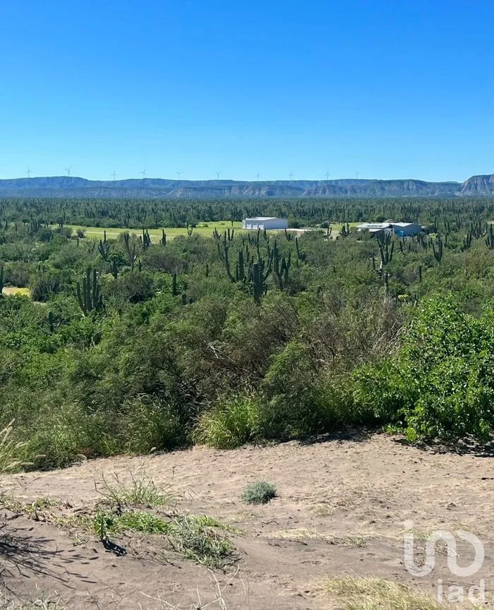 Terreno en Venta en Comitán, La Paz, Baja California Sur | NEX-261998 | iad México | Foto 11 de 13