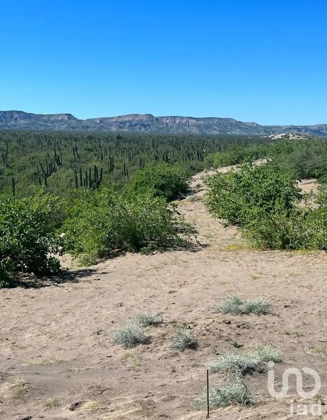 Terreno en Venta en Comitán, La Paz, Baja California Sur | NEX-261998 | iad México | Foto 12 de 13