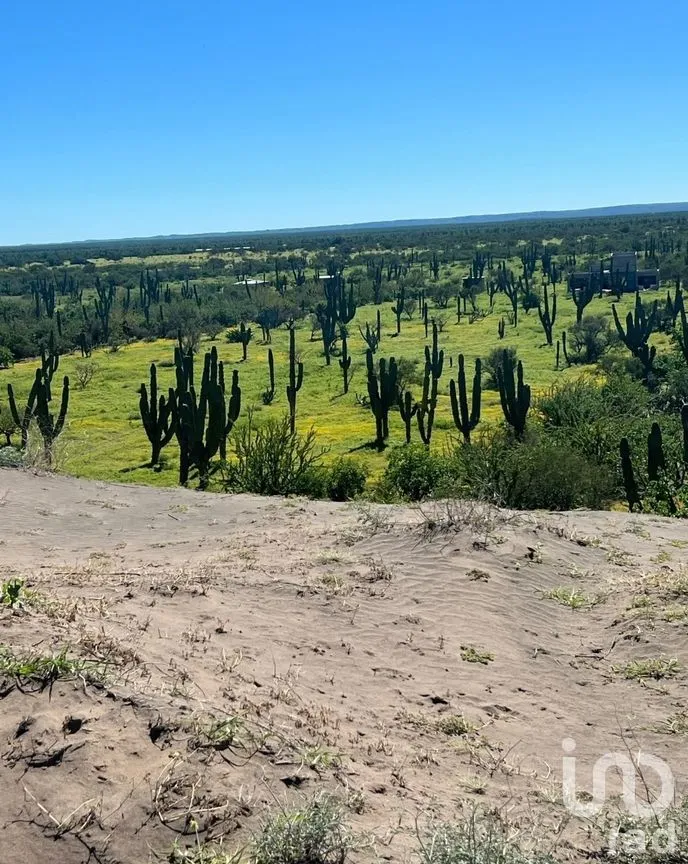 Terreno en Venta en Comitán, La Paz, Baja California Sur | NEX-261998 | iad México | Foto 13 de 13