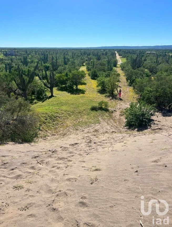 Terreno en Venta en Comitán, La Paz, Baja California Sur | NEX-261998 | iad México | Foto 4 de 13