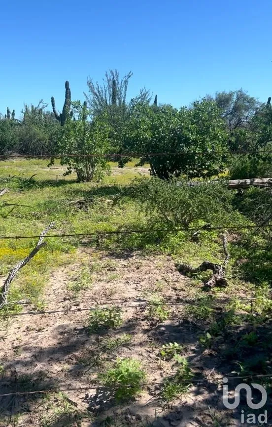 Terreno en Venta en Comitán, La Paz, Baja California Sur | NEX-261998 | iad México | Foto 5 de 13