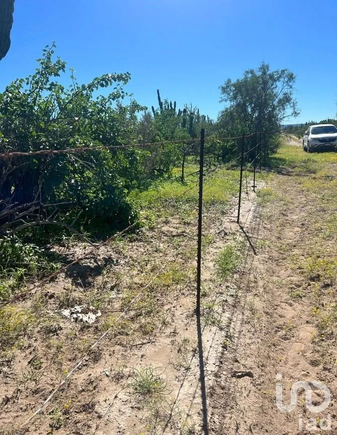 Terreno en Venta en Comitán, La Paz, Baja California Sur | NEX-261998 | iad México | Foto 6 de 13