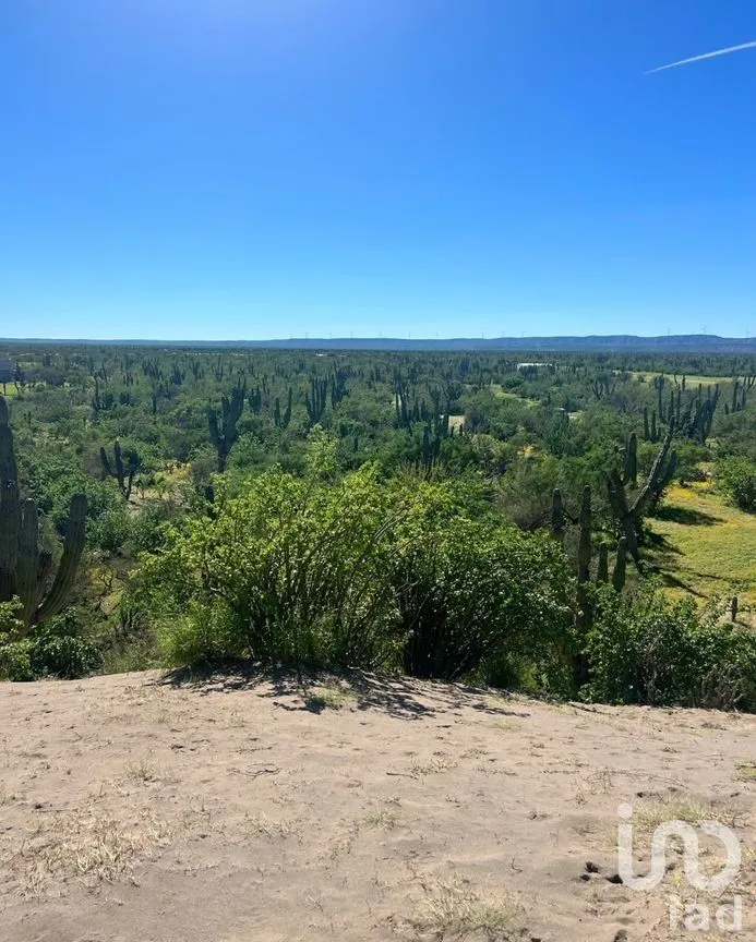 Terreno en Venta en Comitán, La Paz, Baja California Sur | NEX-261998 | iad México | Foto 7 de 13