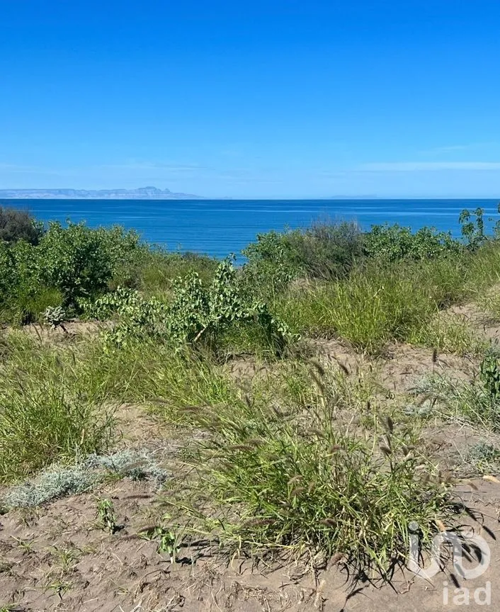Terreno en Venta en Comitán, La Paz, Baja California Sur | NEX-261998 | iad México | Foto 9 de 13
