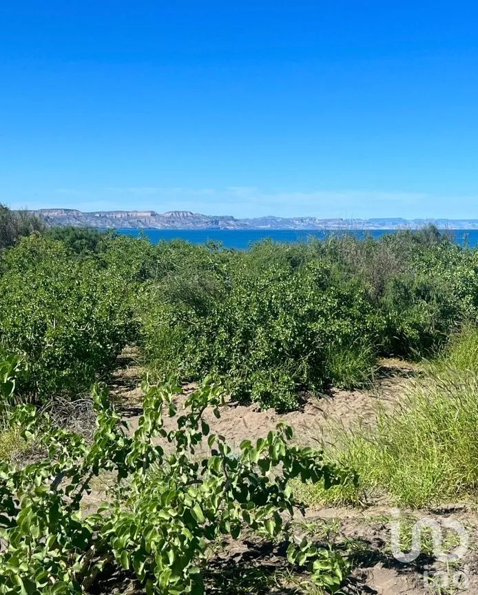 Terreno en Venta en Comitán, La Paz, Baja California Sur | NEX-261998 | iad México | Foto 10 de 13