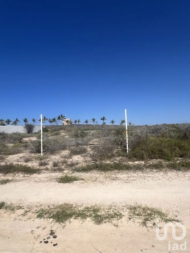 Terreno en Venta en Centro, La Paz, Baja California Sur | NEX-262001 | iad México | Foto 7 de 8