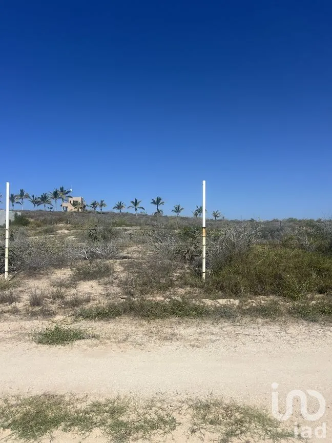 Terreno en Venta en Centro, La Paz, Baja California Sur | NEX-262004 | iad México | Foto 7 de 7